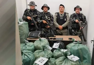 Polícia Militar apreende mais de 200 kg de maconha no Sertão da Paraíba