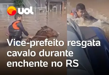 Vice-prefeito resgata cavalo durante enchente no RS; veja vídeo