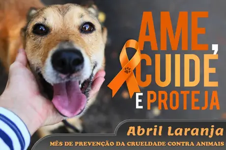 Abril Laranja: Saúde realiza ações voltadas ao combate e prevenção à crueldade animal, em Campina Grande